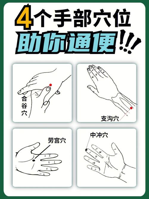 按摩穴位助通便穴位图