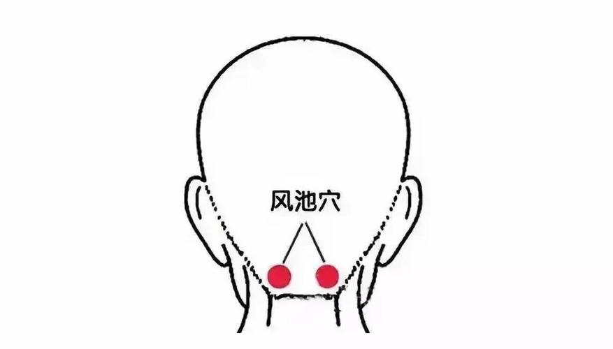 人体穴位风市穴位置图