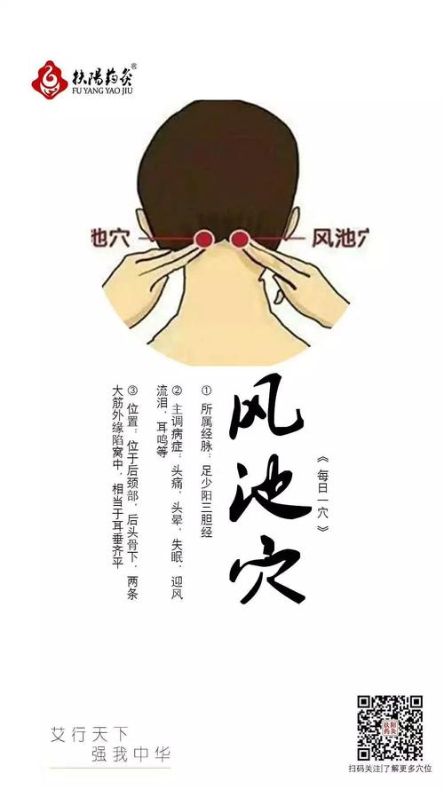人体穴位风市穴位置图
