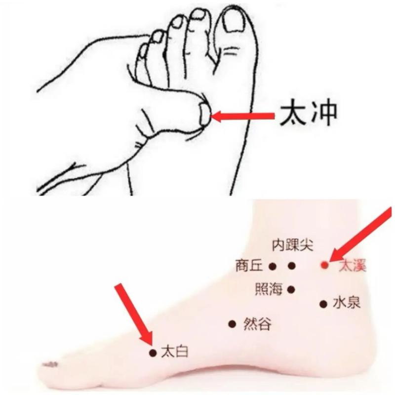 人体穴位太冲穴位图谱