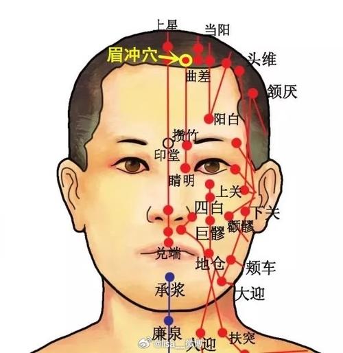 脸上长痘对应什么穴位