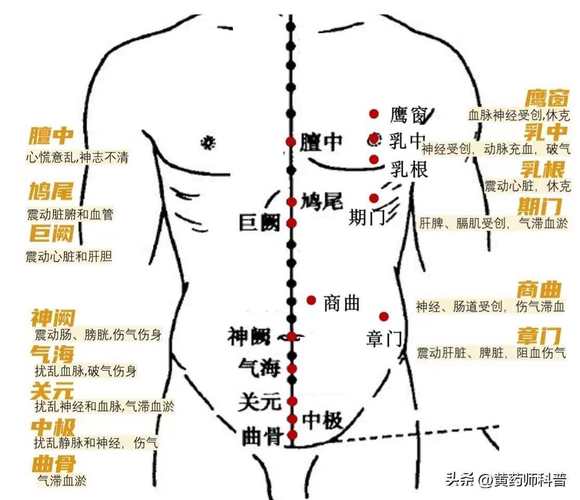 中医常用穴位取穴定位