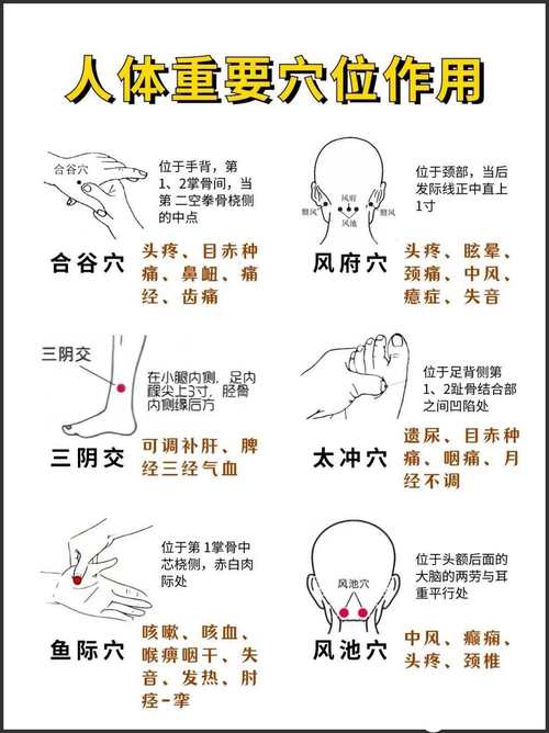 中医常用穴位取穴定位