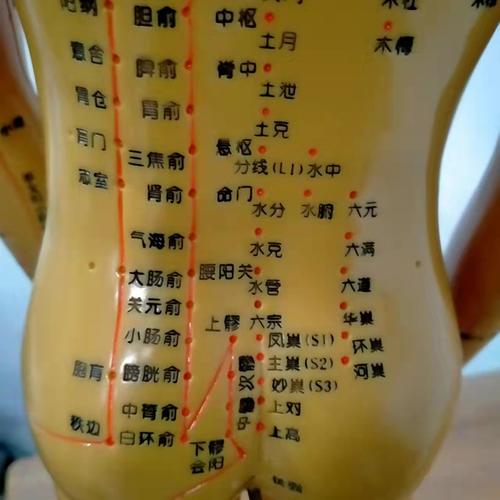 人体腰部穴位图解大全