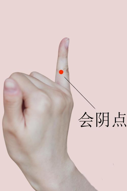 按摩哪个穴位治疗痔疮