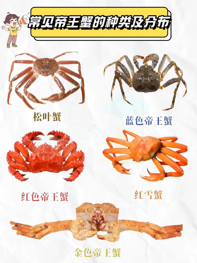 风湿类风湿吃帝王蟹么