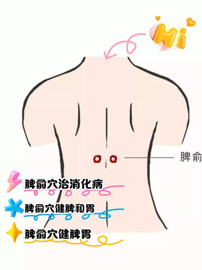 脾胃不好艾灸哪个穴位
