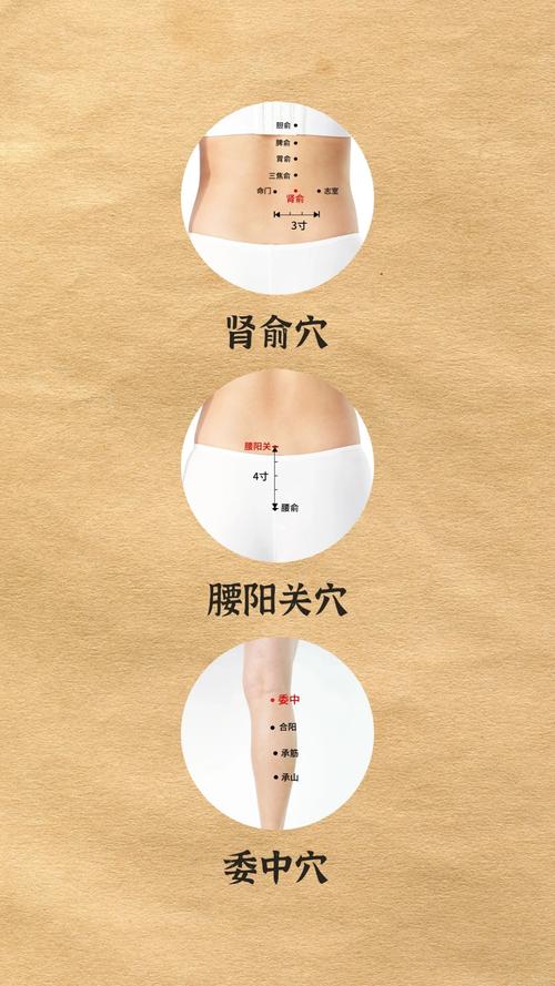 腰肌劳损按摩哪些穴位