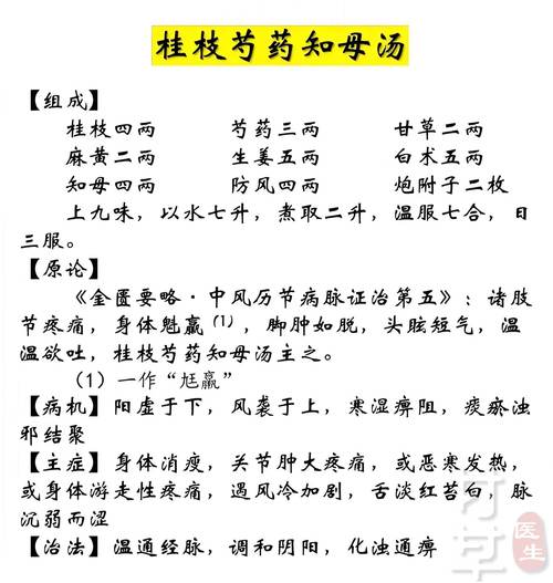 风湿热抗风湿治疗首选