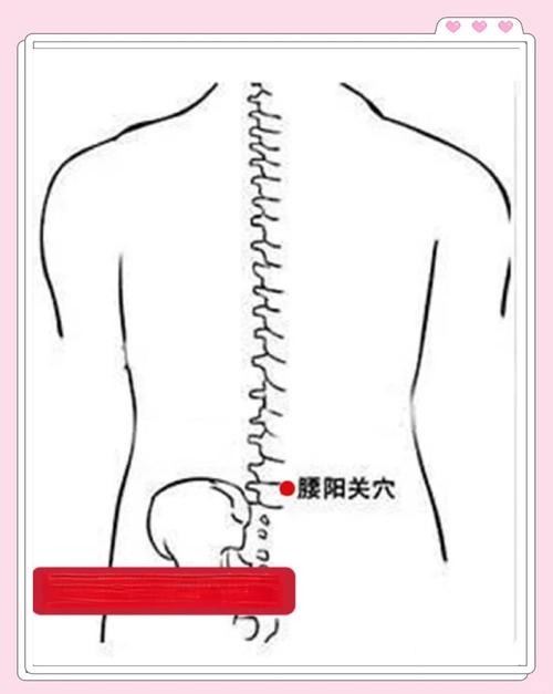 腰椎疼痛按压哪个穴位