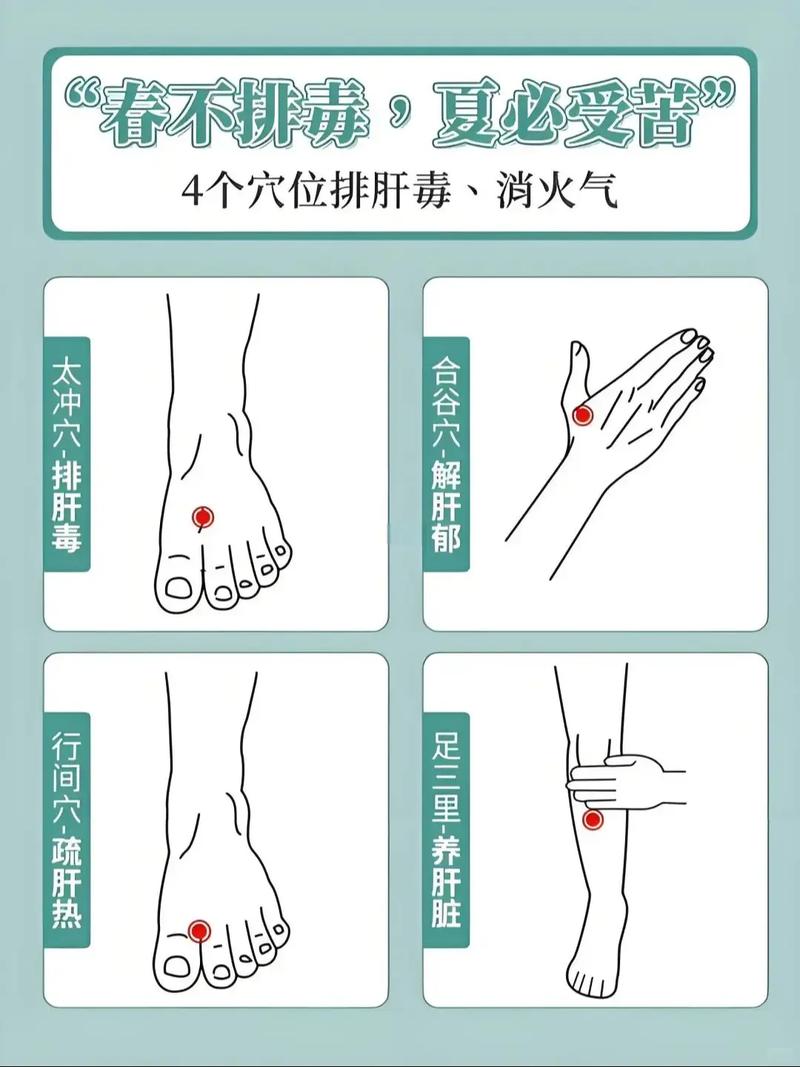 春天 艾灸养肝 穴位