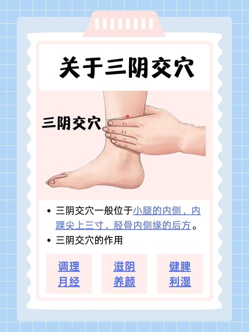 人体三阴交穴位在哪里