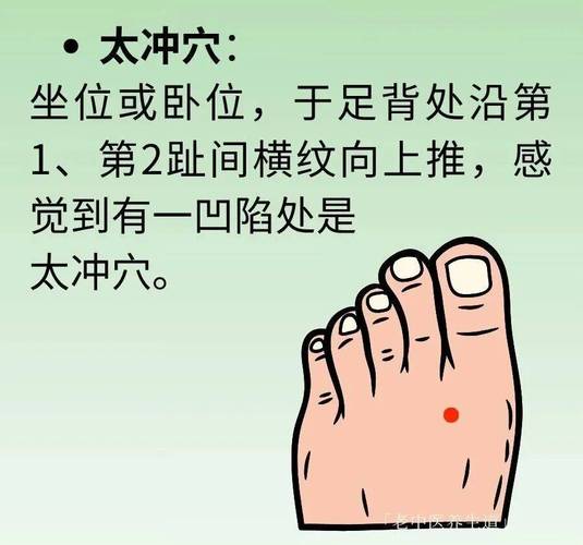 内分泌失调按摩穴位图