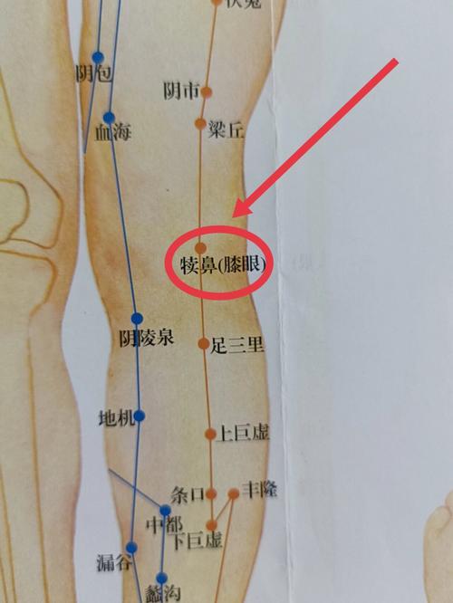 膝关节痛艾灸哪个穴位