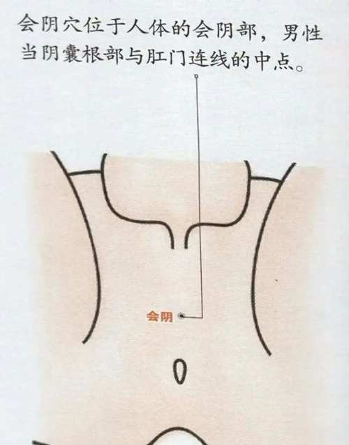 前列腺炎如何按摩穴位