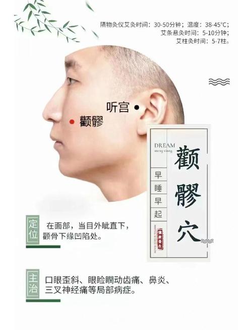 颞颌关节炎按摩穴位图
