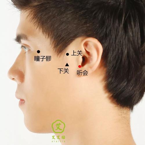 颞颌关节炎按摩穴位图