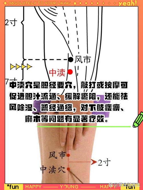 大腿外侧的四个穴位点