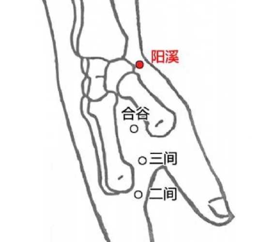 舒张压高按摩哪个穴位