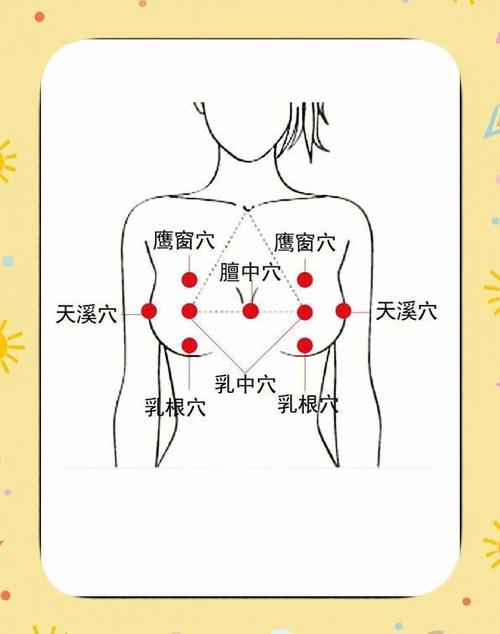 乳房的穴位在什么地方