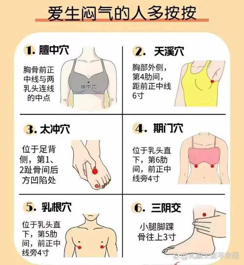 乳房的穴位在什么地方