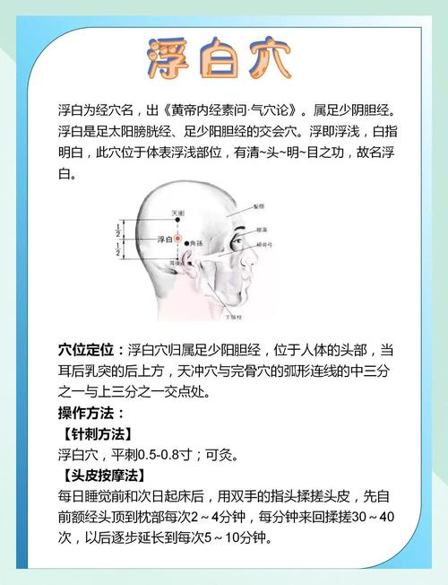 按摩什么穴位治白头发