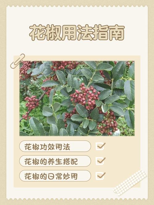 花椒能祛风湿类风湿吗