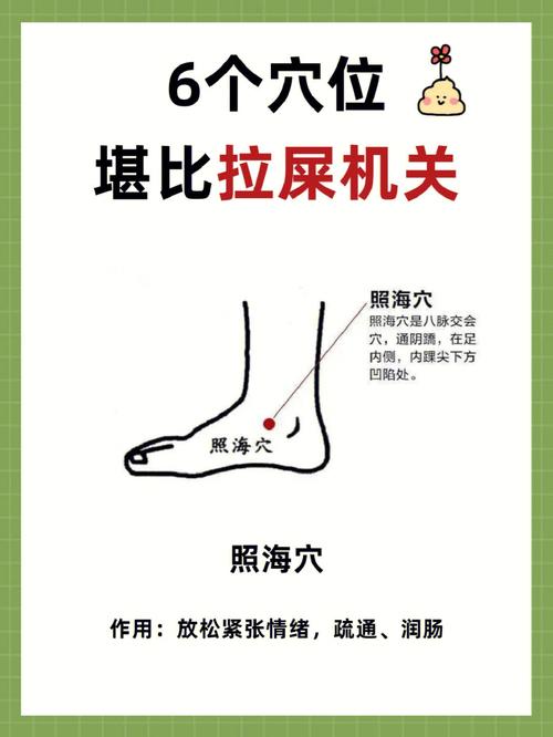 治疗便秘有哪几个穴位