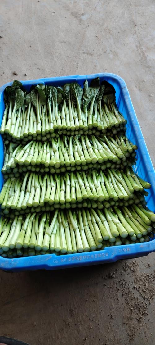 脑梗心梗吃什么蔬菜好