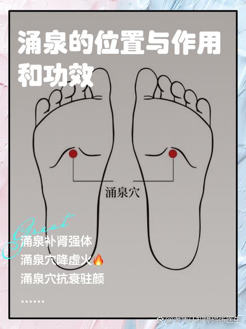 涌泉穴位位置图和作用