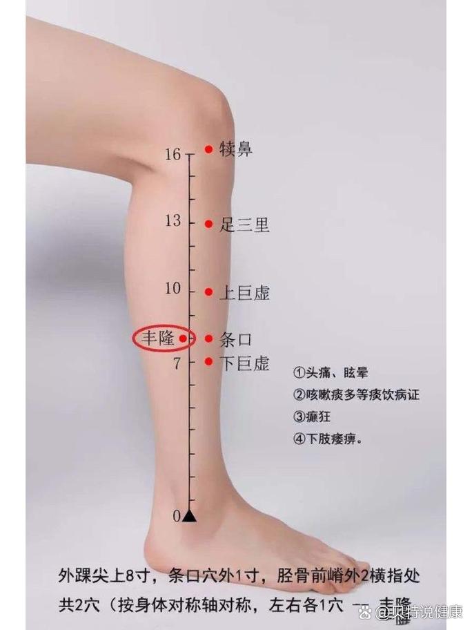 腿上的穴位在什么地方