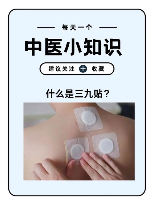 穴位贴敷贴b型贴哪里