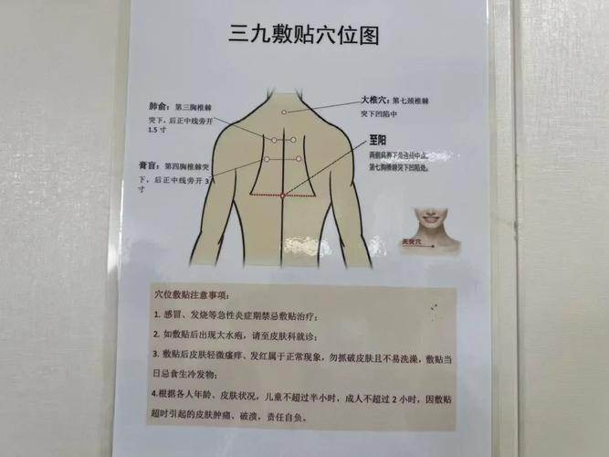 穴位贴敷贴b型贴哪里