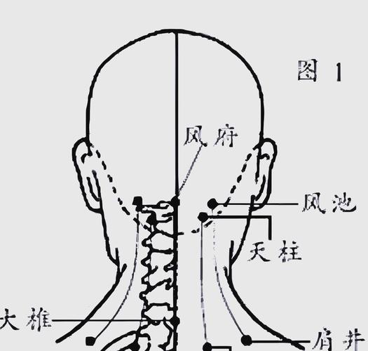 风池穴和天柱穴位置图