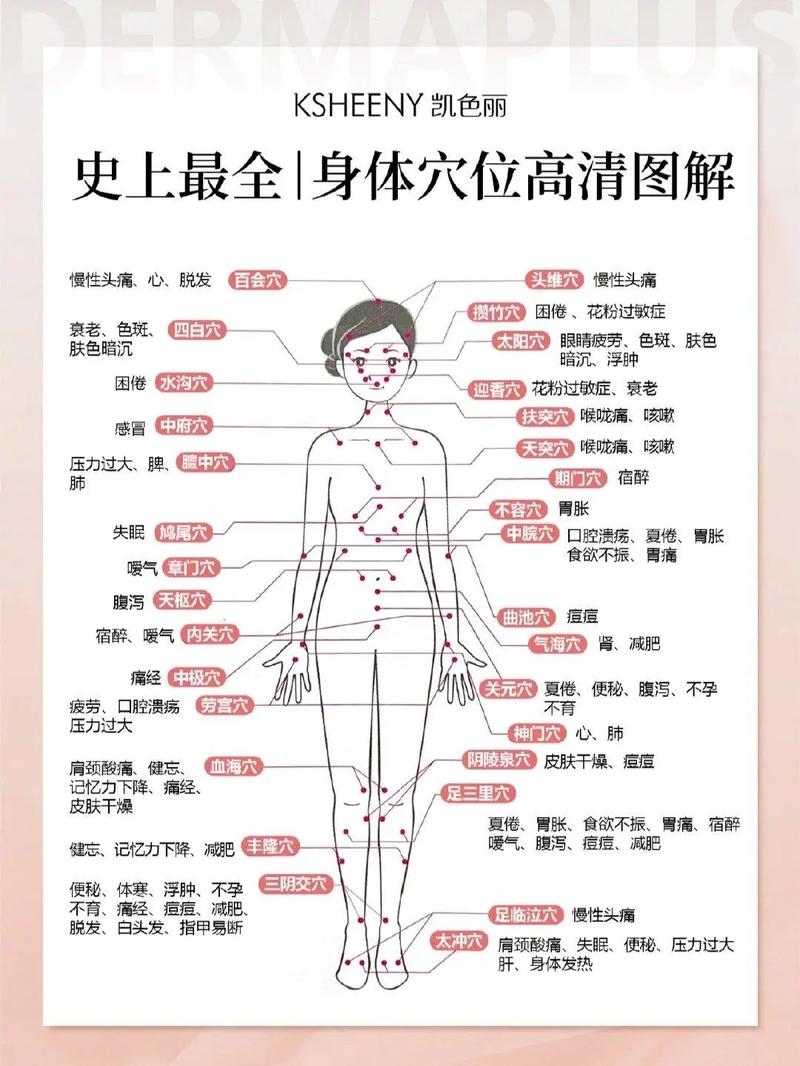 人身体一共有多少穴位