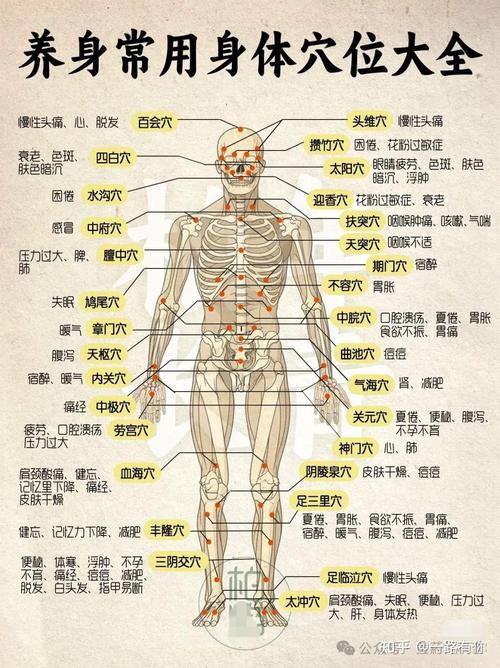 人身体一共有多少穴位