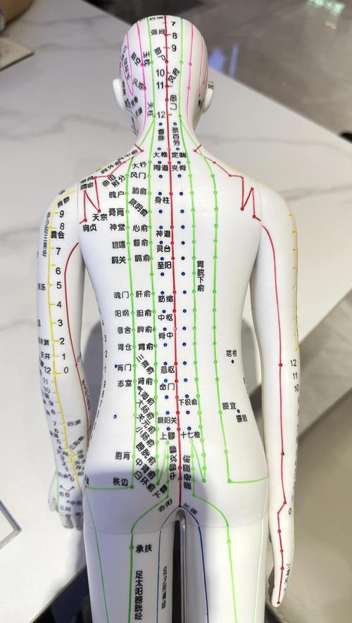人体穴位图解大全下载