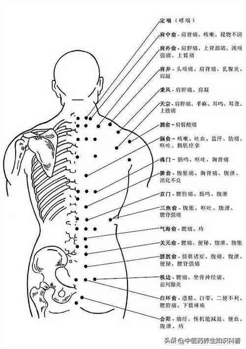 人体穴位图解大全下载