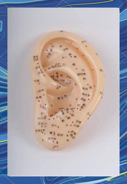 耳朵垂后面是什么穴位