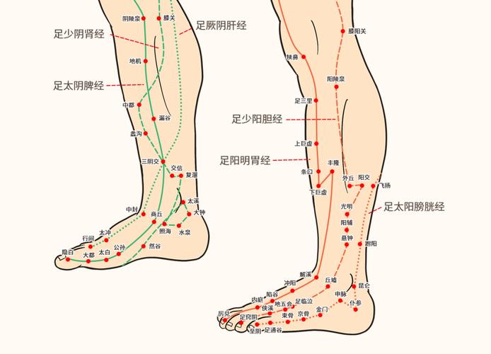 脚后跟上面有什么穴位