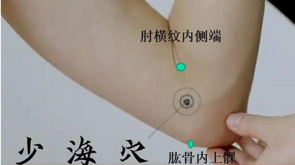 胆囊息肉艾灸什么穴位