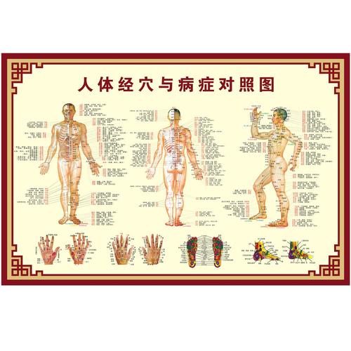 穴位经络高清挂图下载