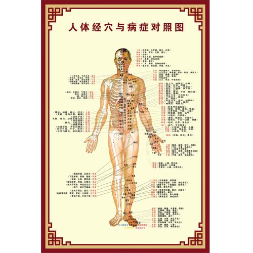 穴位经络高清挂图下载
