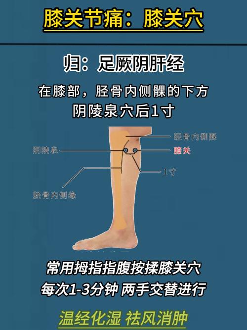 关节酸痛艾久什么穴位