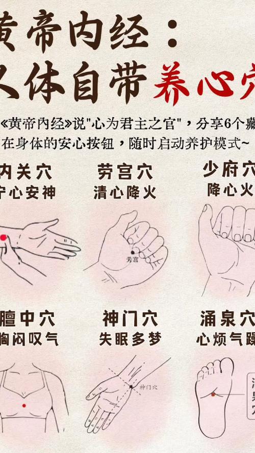 心跳过快按摩哪个穴位