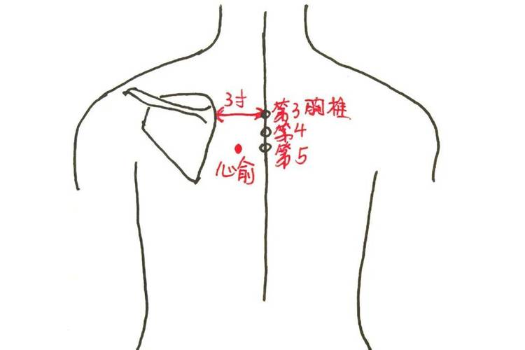 心律不齐按摩什么穴位