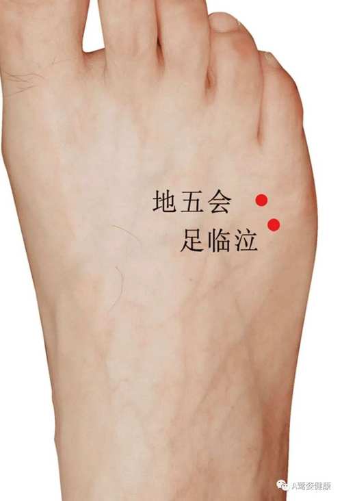 小儿脚上治腹泻的穴位