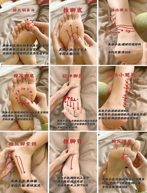 杨奕足底按摩穴位视频