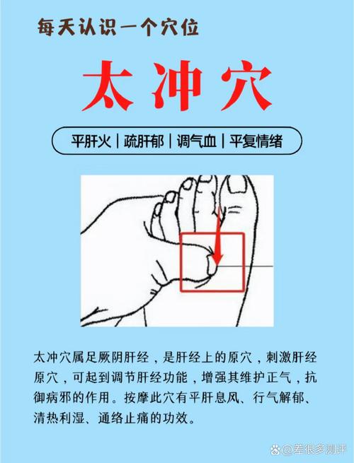 太冲穴位位置图怎么找