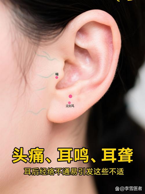 耳朵根后面是什么穴位